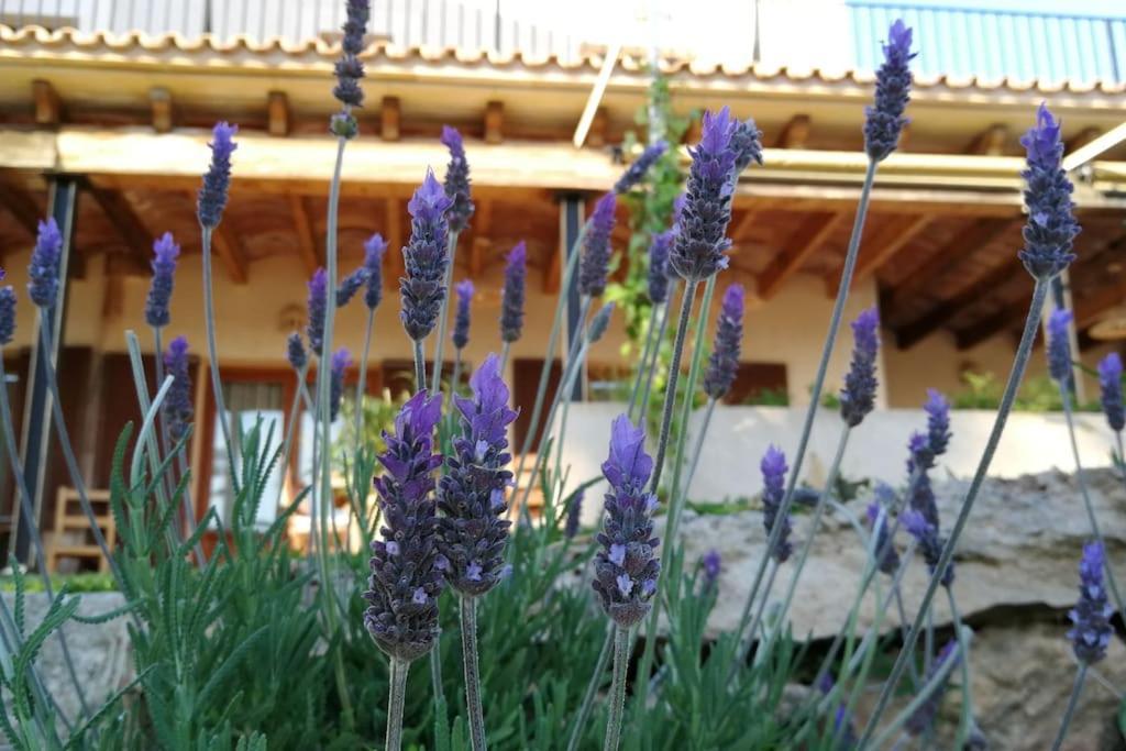 Finca Rural S'Estepa Palma de Mallorca Exterior photo
