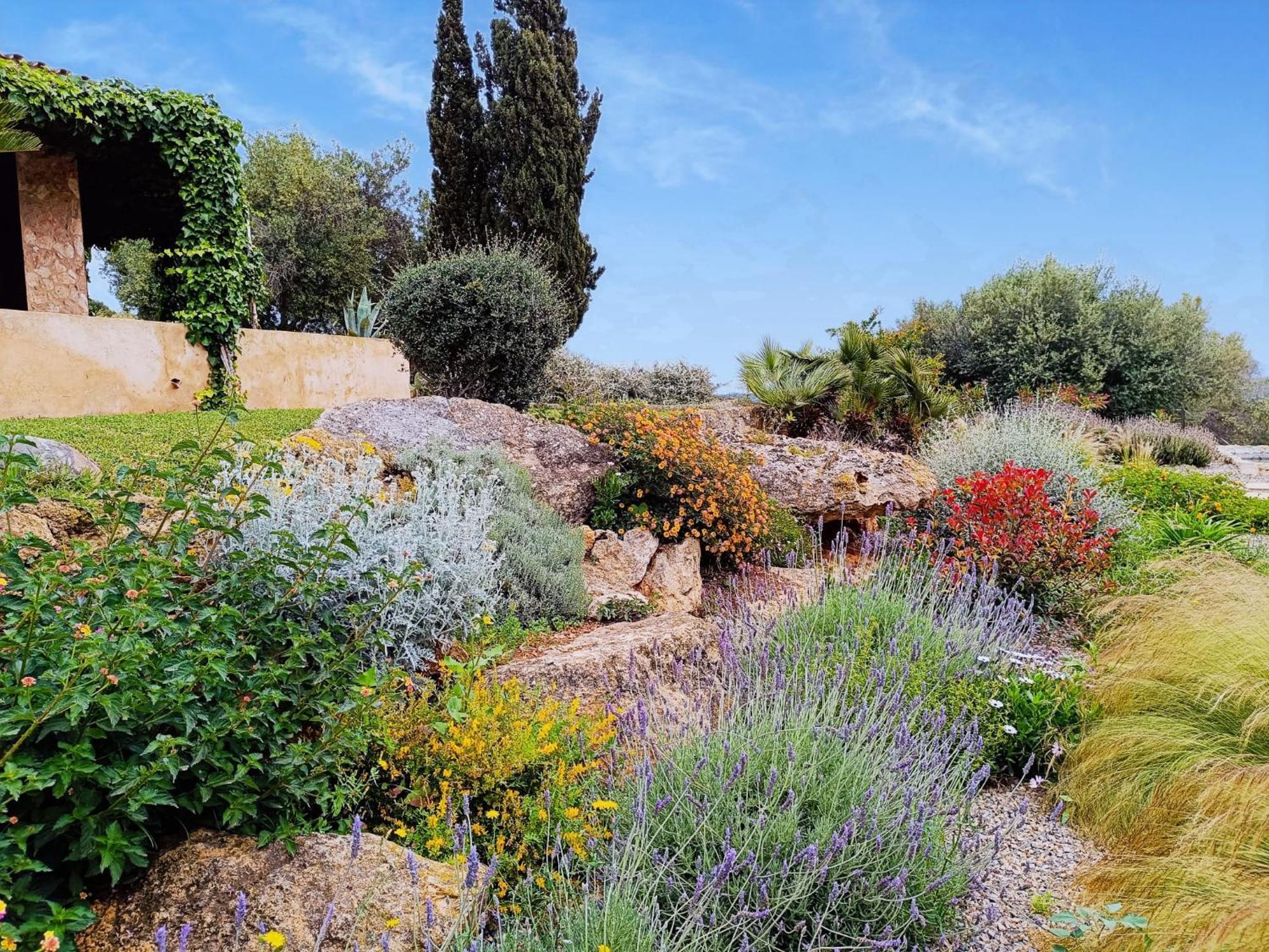 Finca Rural S'Estepa Palma de Mallorca Exterior photo